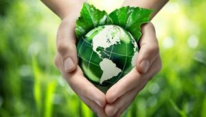 10 hành động để bảo vệ môi trường sống